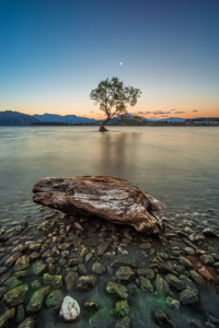 Bild-Nr: 11367527 Lone Tree mit Stein Erstellt von: sebwar2004