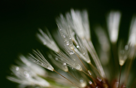 Bild-Nr: 11367539 Wiesenrad Erstellt von: youhaveadream