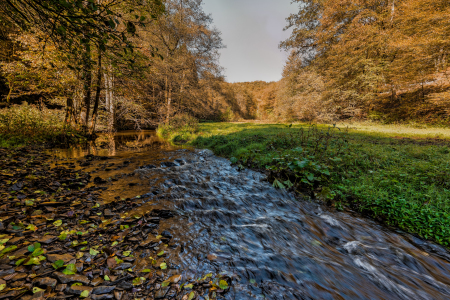 Bild-Nr: 11369865 Der Herbst in deutschen Wäldern Erstellt von: danielgiesenphotography