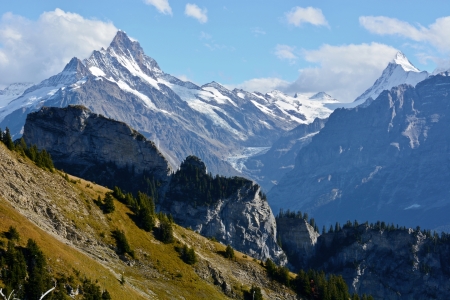 Bild-Nr: 11370643 Schreckhorn - Finsteraarhorn Erstellt von: Bettina Schnittert