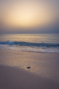 Bild-Nr: 11373319 Fuerteventura 06 Erstellt von: Talirion