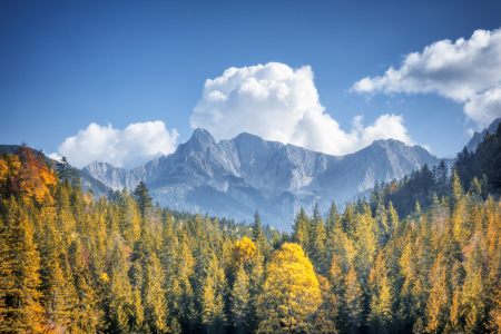 Bild-Nr: 11376791 Herbstliche Alpen Erstellt von: Markus Gann