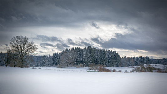 Bild-Nr: 11376815 Winterlandschaft Erstellt von: Markus Gann