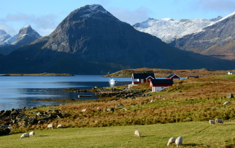 Bild-Nr: 11377049 Lofoten Erstellt von: GUGIGEI