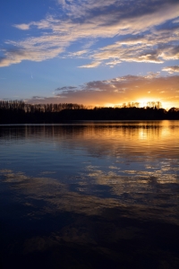 Bild-Nr: 11381465 Abendhimmel Elbsee Erstellt von: Bettina Schnittert