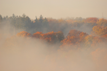 Bild-Nr: 11386219 Herbstnebel Erstellt von: KundenNr-272456