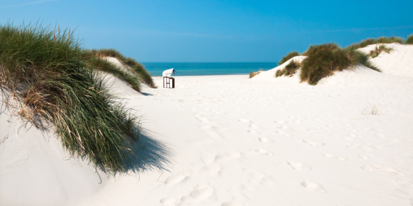 Bild-Nr: 11389667 Sommer am Meer Erstellt von: Reiner Würz