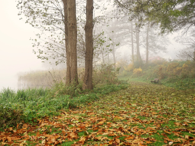Bild-Nr: 11395635 Herbstnebelromantik Erstellt von: Ostfriese
