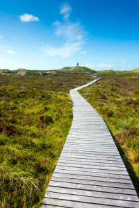 Bild-Nr: 11396319 Weg zum Leuchtturm Erstellt von: Reiner Würz