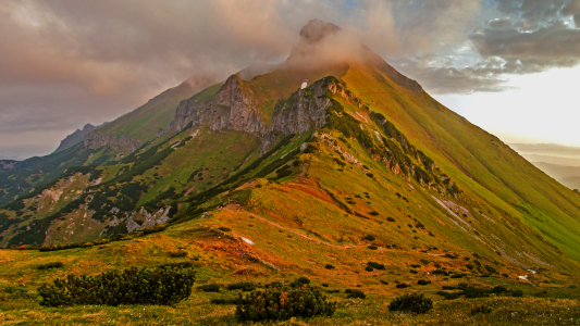 Bild-Nr: 11396417 Carpathians Mountain Erstellt von: Wiktor Wiktor Baron