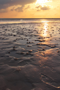 Bild-Nr: 11397091 Sommerimpression - Büsum Nordsee Erstellt von: Angela  Dölling