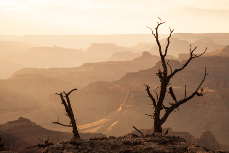 Bild-Nr: 11398915 Grand Canyon, USA Erstellt von: janschuler