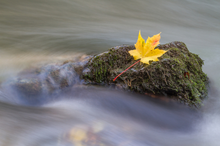 Bild-Nr: 11407564 Am Fluss Erstellt von: Fotostyler