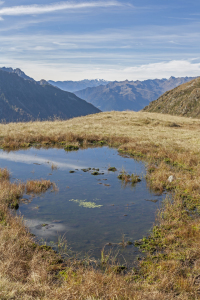 Bild-Nr: 11410939 In den Sarntaler Alpen Erstellt von: EderHans