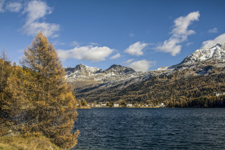 Bild-Nr: 11415750 Herbst am Silser See Erstellt von: EderHans