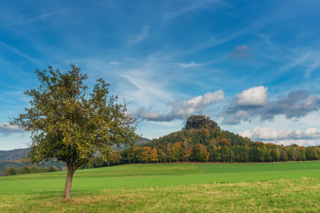 Bild-Nr: 11416058 Sächsische Schweiz , Zirkelstein Erstellt von: GCK