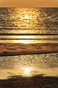 Bild-Nr: 11418341 Sommerabend an der Nordsee Erstellt von: ReichderNatur