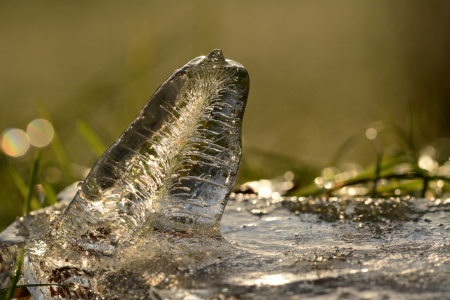 Bild-Nr: 11418448 Winterexquisit Erstellt von: Ostfriese