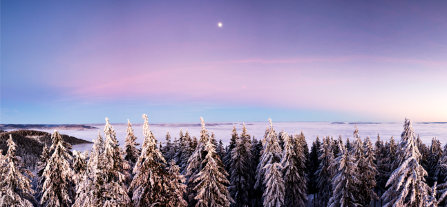 Bild-Nr: 11422217 märchenhafte Winterlandschaft Erstellt von: Marcel Heinzmann