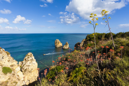 Bild-Nr: 11422568 PONTA DA PIEDADE, LAGOS, ALGARVE Erstellt von: dieterich