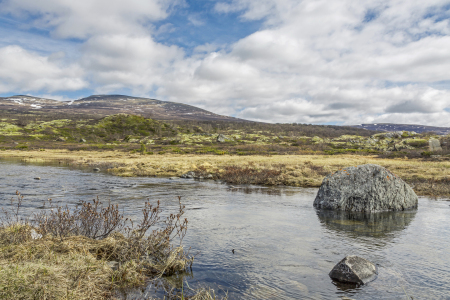 Bild-Nr: 11425235 Im Dovrefjell Erstellt von: EderHans