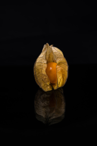 Bild-Nr: 11425299 Physalis 4 Erstellt von: Erhard Hess