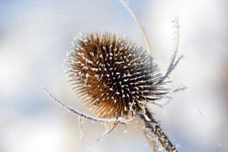 Bild-Nr: 11425322 .. winterliches .. Erstellt von: GUGIGEI