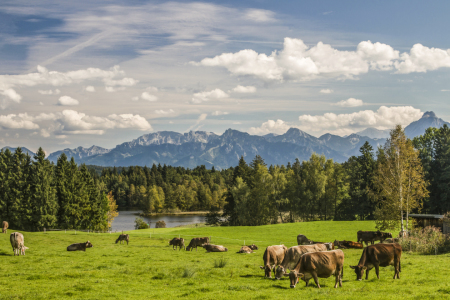 Bild-Nr: 11425752 Idyllisches Allgäu Erstellt von: EderHans