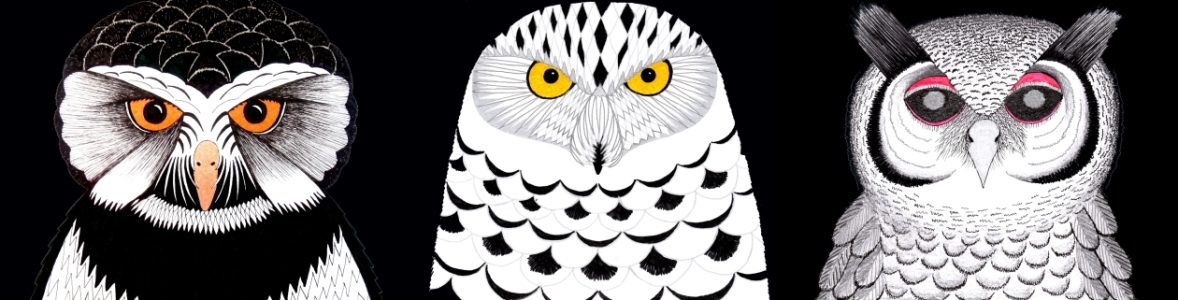 Bild-Nr: 11427153 Triptychon Eulen Erstellt von: Owl-Art-Suri