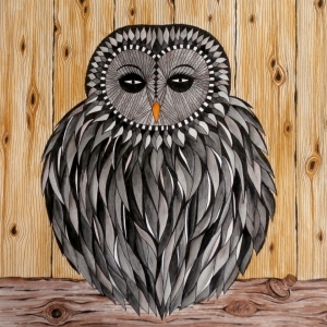 Bild-Nr: 11428048 Habichtskauz Erstellt von: Owl-Art-Suri