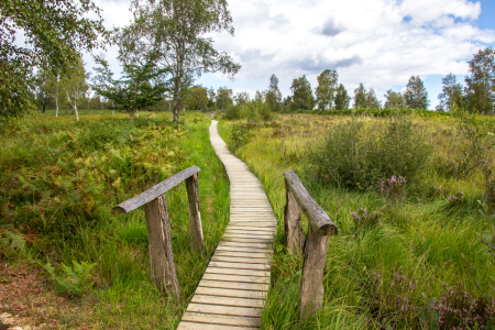 Bild-Nr: 11430841 Weg  Erstellt von: SaMforfotofun