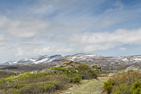 Bild-Nr: 11432429 Wanderweg durchs Dovrefjell Erstellt von: EderHans