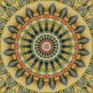 Bild-Nr: 11434730 Mandala erinnere Dich an mich Erstellt von: Christine Bässler