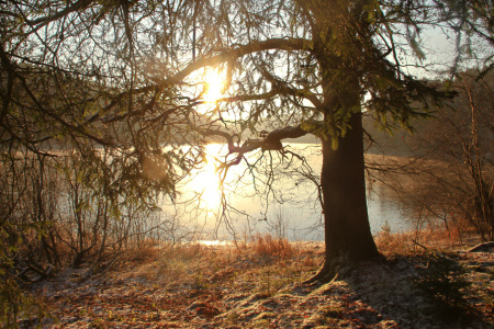 Bild-Nr: 11435634 Wintermorgen am See Erstellt von: falconer59