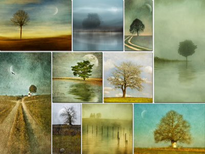 Bild-Nr: 11435644 Some Trees - Collage Erstellt von: manhART