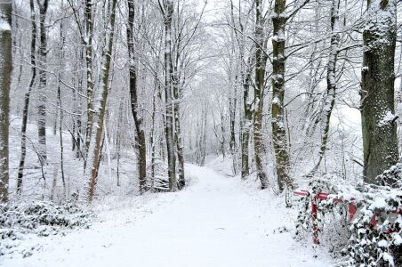 Bild-Nr: 11436050 Winter Erstellt von: Sabineleifels