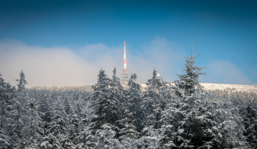 Bild-Nr: 11436369 Sonne auf dem Brocken Erstellt von: Steffen Henze