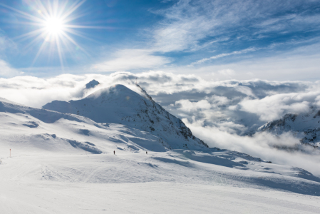 Bild-Nr: 11436535 Wintersonne Erstellt von: Frank Walter