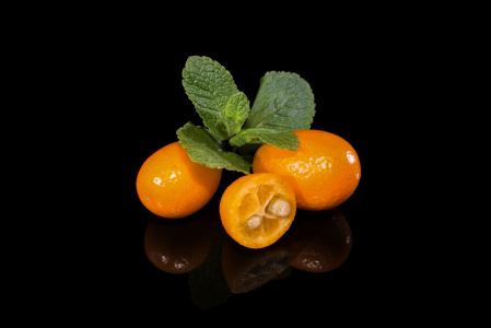 Bild-Nr: 11437072 Kumquats 5 focus stacking Erstellt von: Erhard Hess