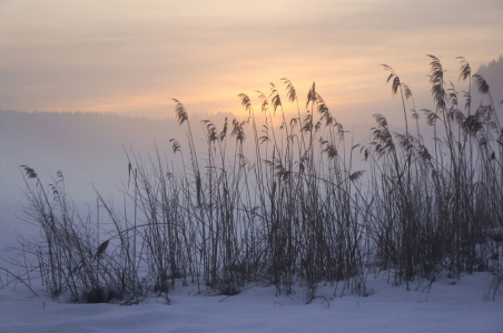 Bild-Nr: 11437473 Winterabend Erstellt von: ELIO