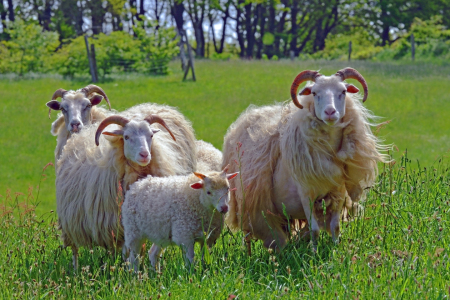 Bild-Nr: 11437727 Kleiderwechsel ist angesagt Erstellt von: Ostfriese