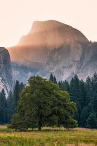 Bild-Nr: 11438154 Yosemite National Park Erstellt von: TomKli
