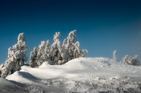 Bild-Nr: 11438230 Schneegespenster Erstellt von: Steffen Henze