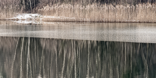 Bild-Nr: 11439331 Winter am See Erstellt von: MBuecker