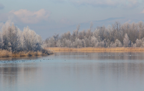 Bild-Nr: 11441044 Isarwinter Erstellt von: Stephanie Stephanie Dannecker