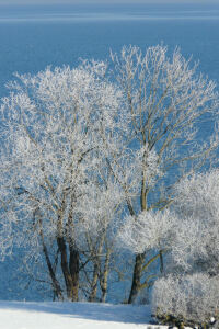 Bild-Nr: 11441800 Winterimpressionen Erstellt von: kalkgrund