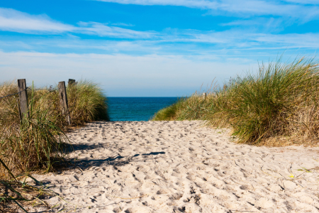 Bild-Nr: 11442389 Ostsee - Strandweg bei Ahrenshoop Erstellt von: Reiner Würz