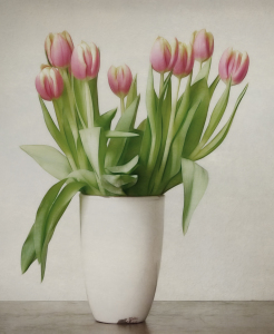 Bild-Nr: 11442445 schlichtes Tulpenstillleben Erstellt von: Franziska Rullert