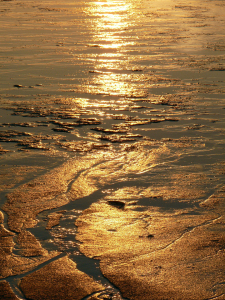 Bild-Nr: 11443781 Goldene Wattenmeer Erstellt von: Ostfriese