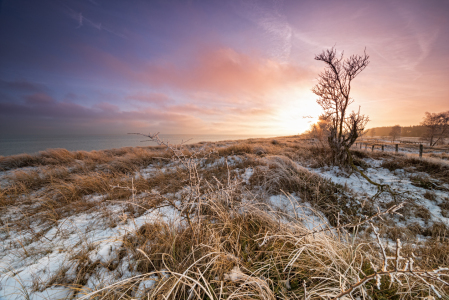 Bild-Nr: 11444906 Winterland Erstellt von: Nordbilder